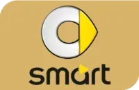 smart repair manual